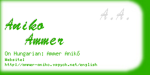 aniko ammer business card